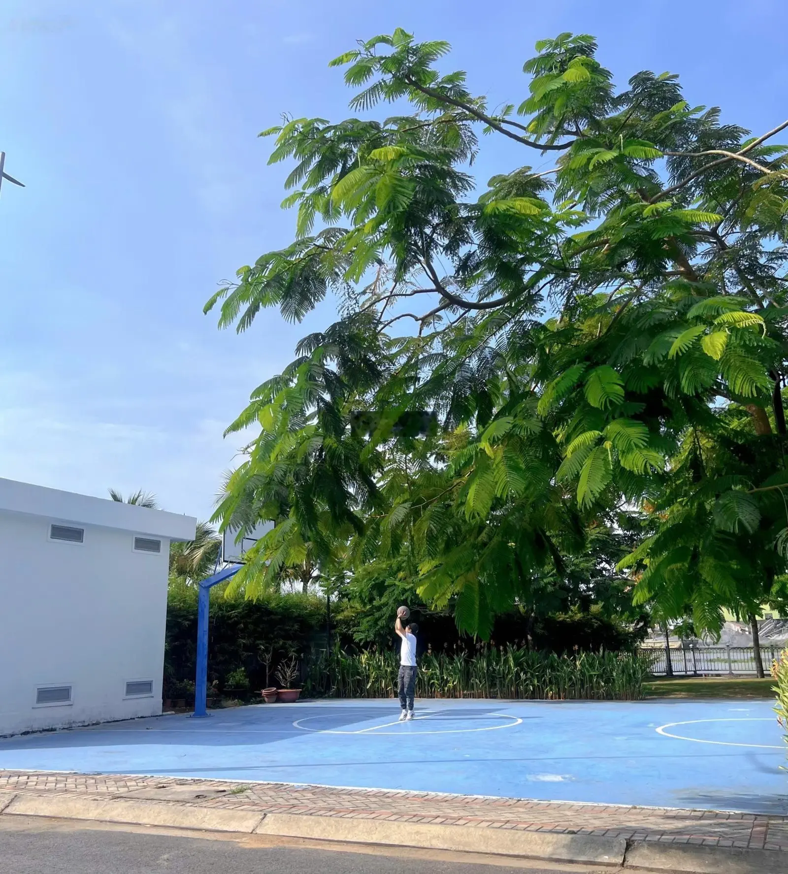 Bán gấp biệt thự tại The Pearl Riverside, 11,5 tỷ, 321m2, 5PN, 4WC