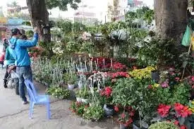 Bán đất vàng Hoàng Hoa Thám 107m2 14.5 tỷ - mặt tiền 8.5 m kinh doanh