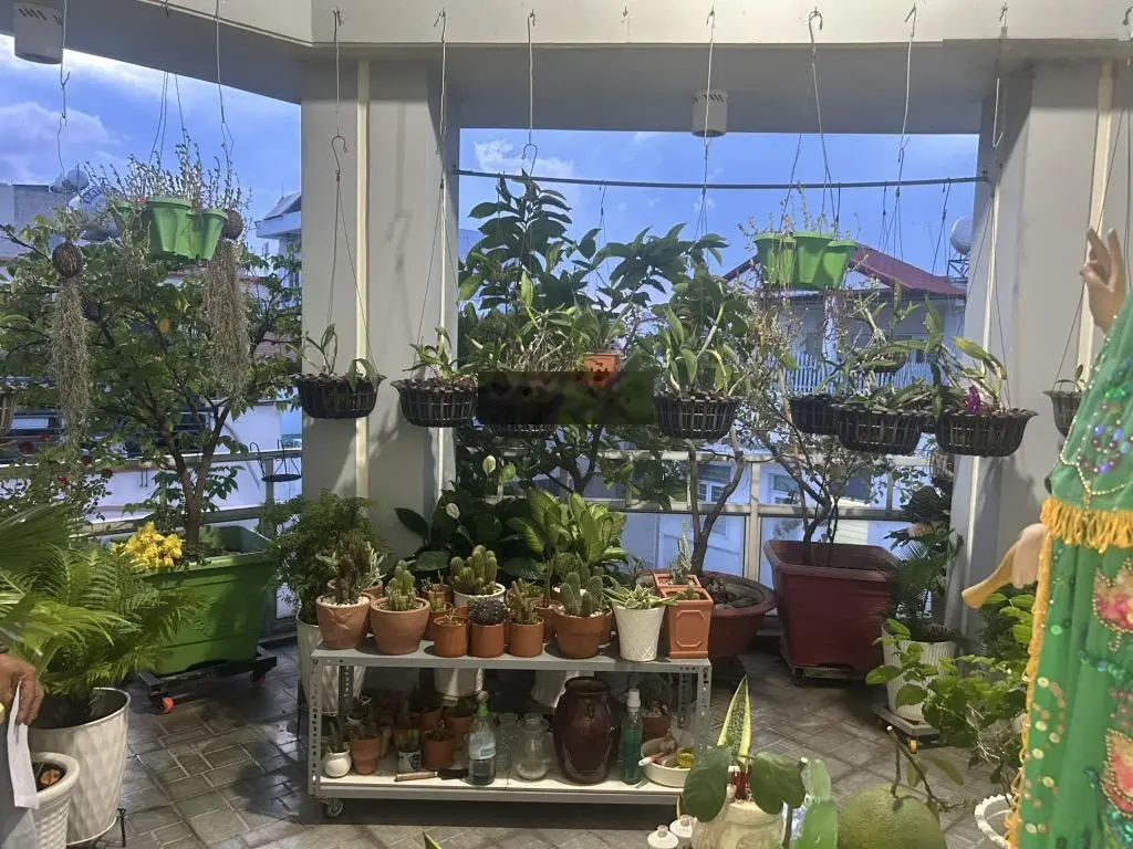 Bán nhà đẹp mặt tiền đường nhựa 8m, khu dân cư Kiều Đàm, Trần Xuân Soạn, Quận 7, 75m2 , nhỉnh 14 tỷ