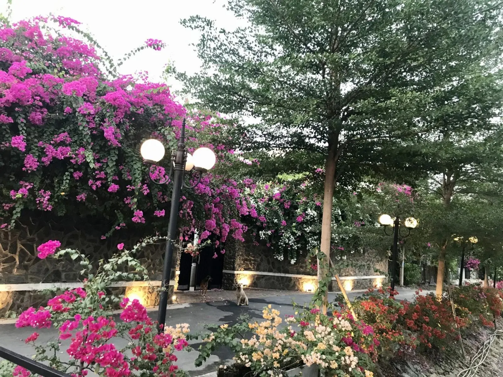 Nhà đẹp như biệt thự ngang 8.4m tại hẻm VIP 140 Vườn Lài khu phân lô cao tầng hơn 10Tỷ có TL