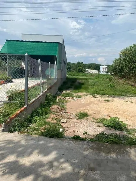 Đất ngộp đầu tư sinh KCN Bàu Bàng mặt tiền đường nhựa gần TTHC Bàu Bàng 256m2 có thổ cư