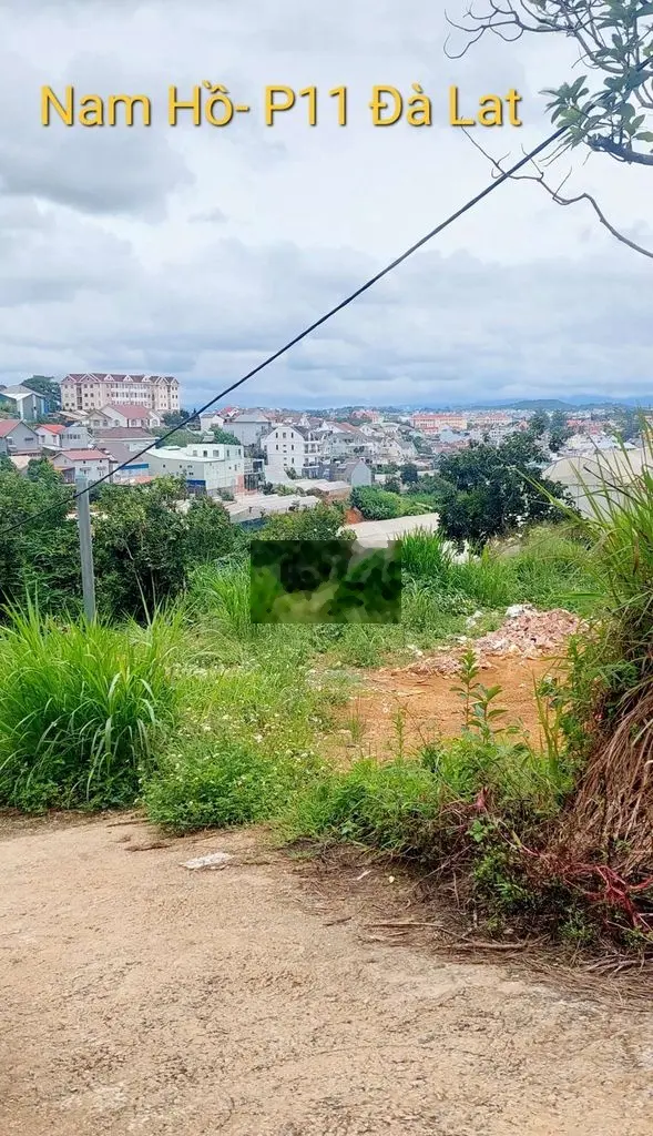 🌳Bán lô đất Nam Hồ 275m- 7 Tỷ 2 giá đầu tư- gần trung tâm tp Đà Lạt