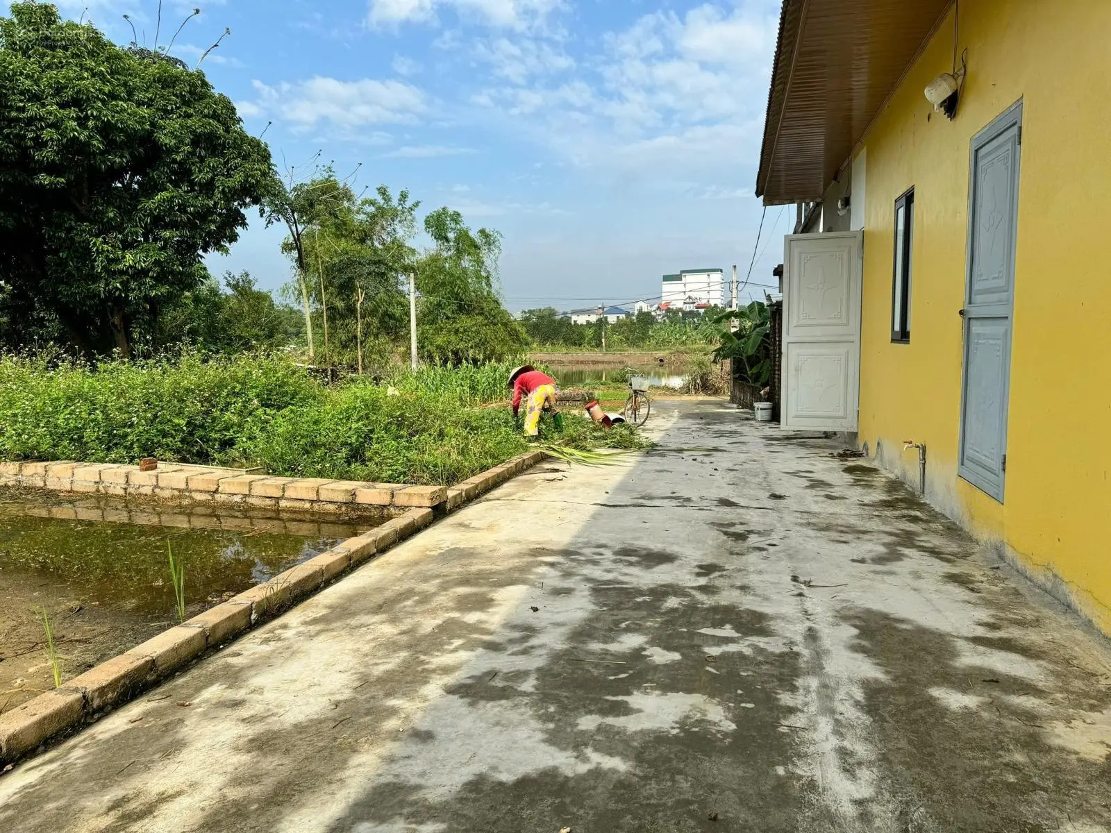 Bán 67m thôn 1 hạ bằng, giá siêu rẻ