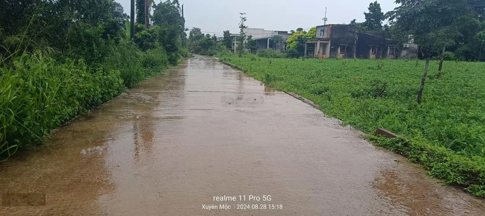 Đất xã Xuyên Mộc H Xuyên Mộc BRVT, cách chợ 1km, cách Phước Bửu 2,5km