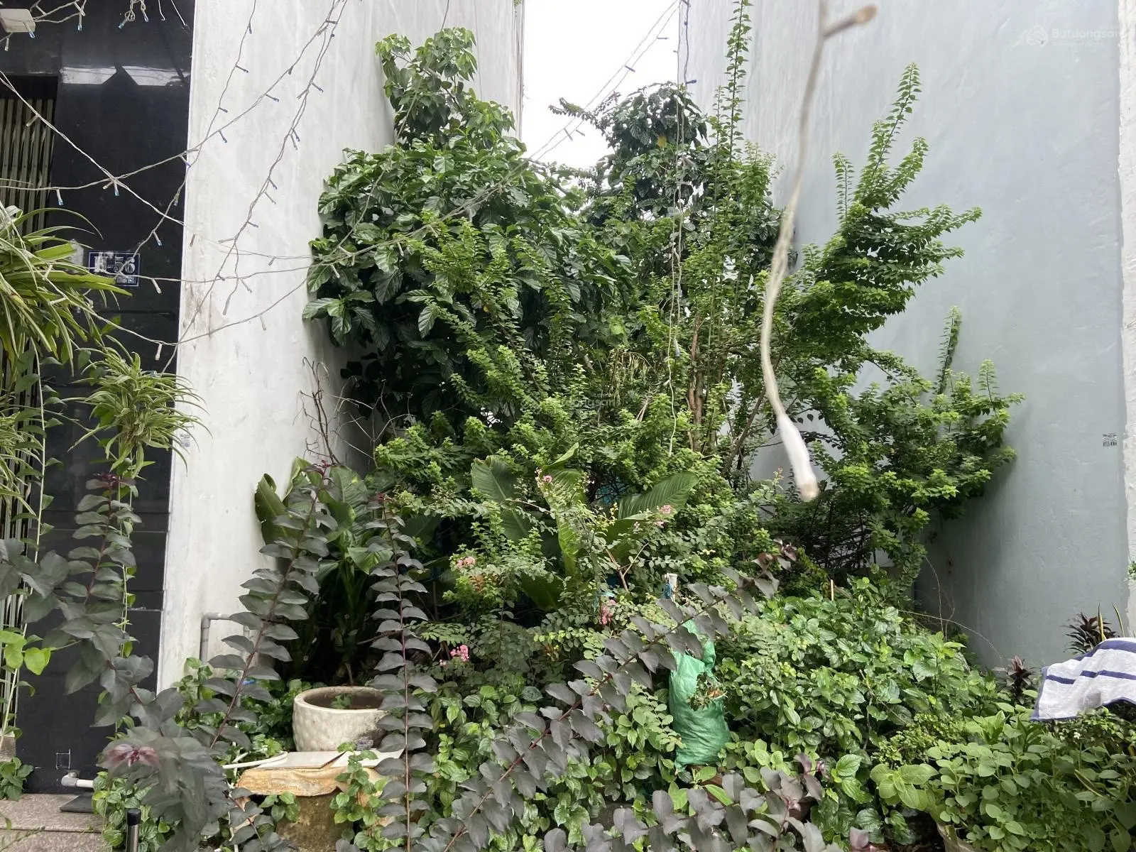 Bán lô đất đường D12 KDC D2D. Sổ riêng, chỉ 6.5 tỷ. Lô đất chưa qua đầu tư.