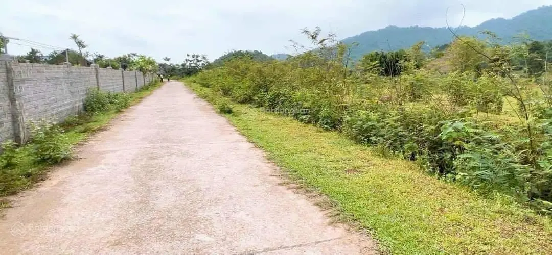 E muốn bán DT 1,5ha, có 1,3ha đất ở còn lại đất vườn, thế đất bằng phẳng, xe công vào được tận đất