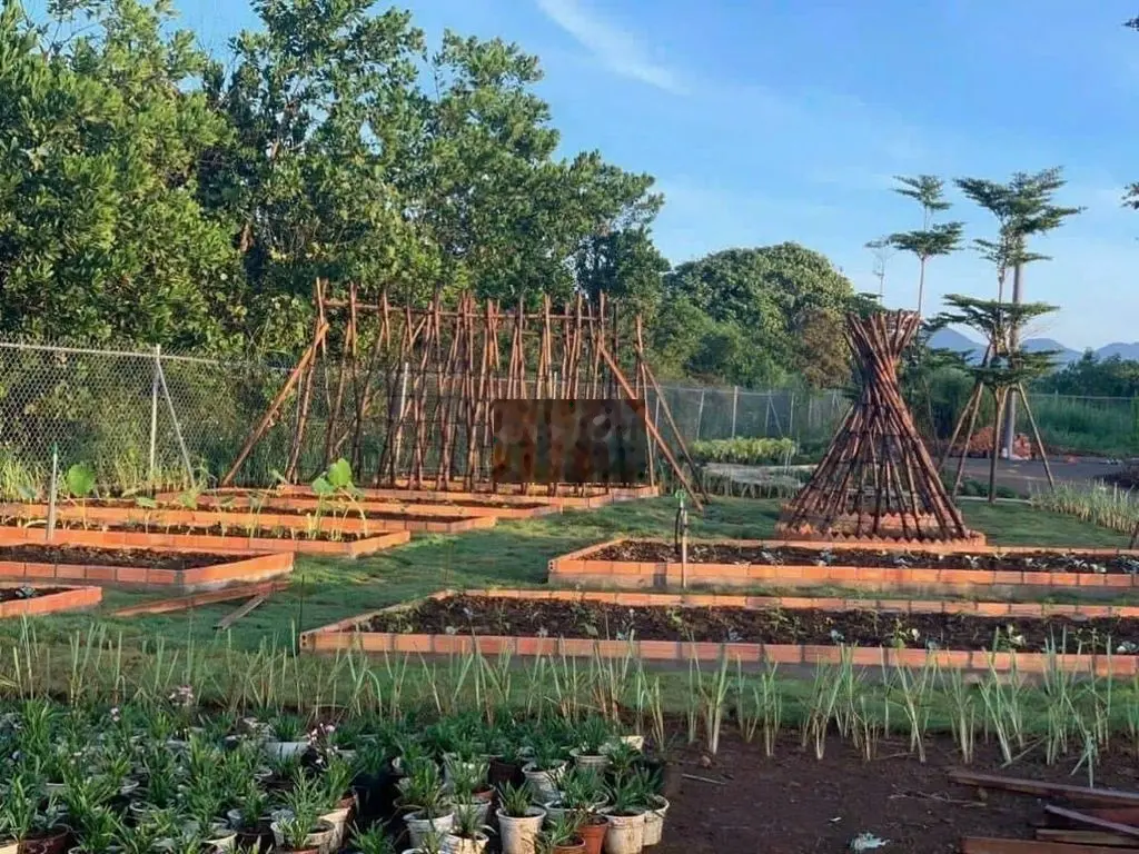 Bán GẤP Lô Đất Biệt Thự 1751m2 liền kề KCN Thanh Phú, mặt tiền đường 1
