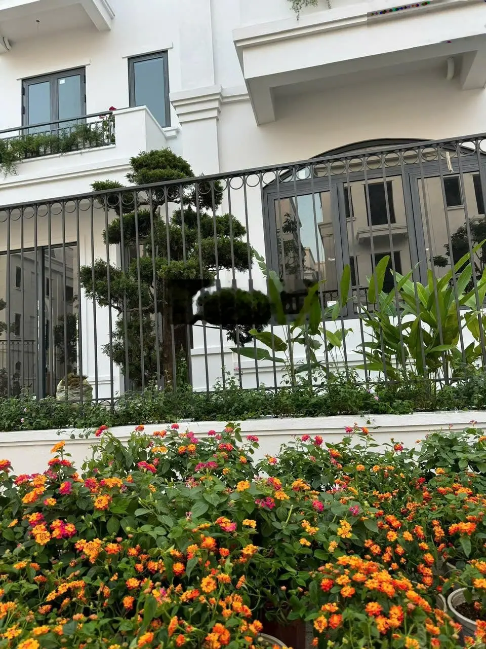 Quỹ căn ngoại giao BT Nam Cường 170 - 300m2. Đường 21,5m. MT 12m, Chiết khấu 20%. Sổ lâu dài