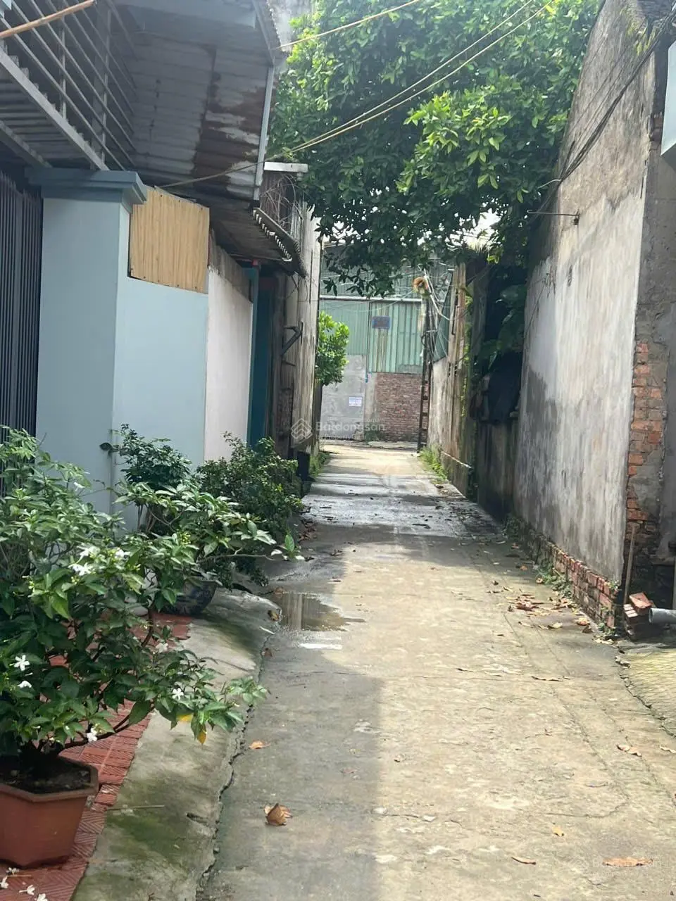 Mở bán 100m2 đường ô tô thông tại Hà Lâm 2, Thụy Lâm, Đông Anh, Hà Nội