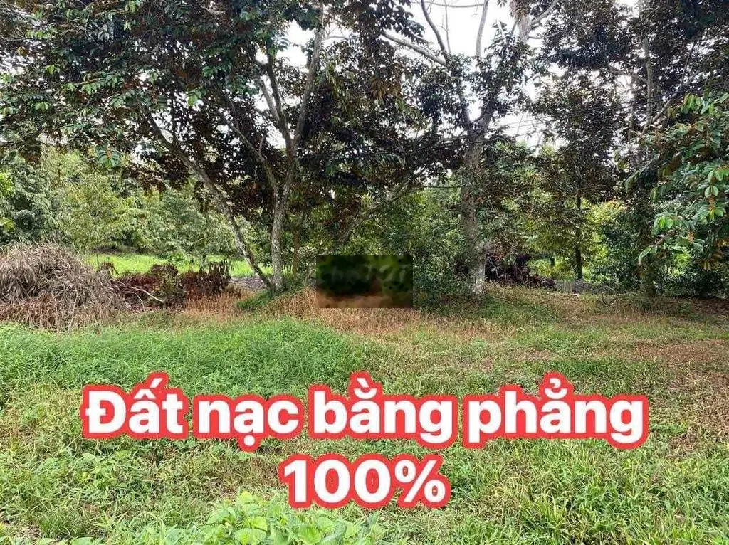 550 triệu bán nền thổ cư Giai Xuân