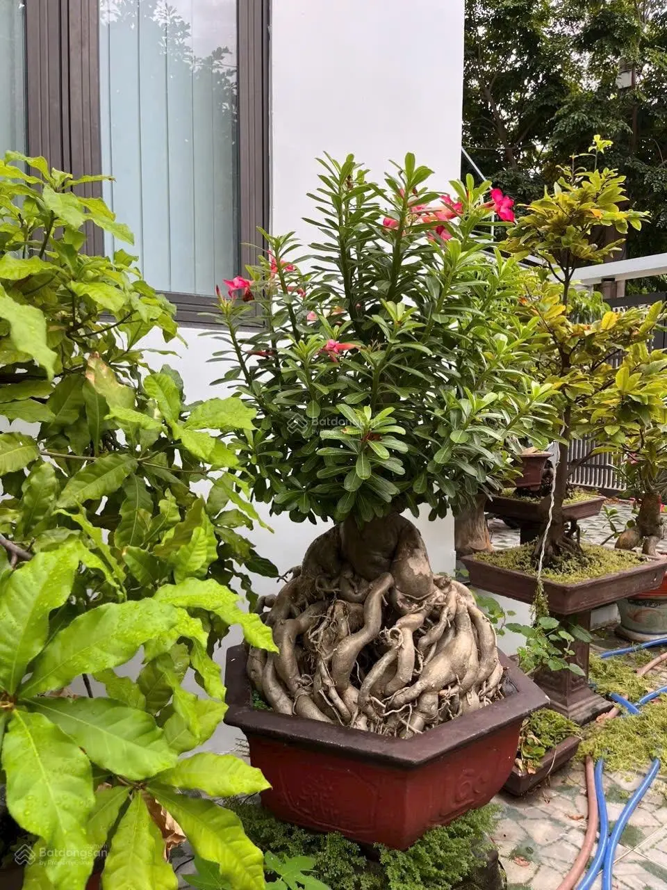 Bán biệt thự 2 mặt tiền đường Khúc Hạo, Đà Nẵng vị trí cực đẹp chủ thiết kế tâm huyết, giá 15,5 tỷ