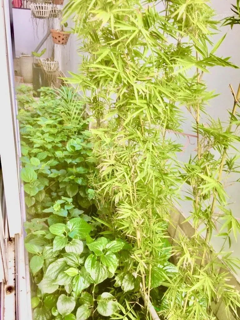 Chủ nhiệt giảm mạnh - siêu phẩm biệt 3 tầng - ngay Kha Vạn Cân - HXH - ngang hoành tráng 8m - 120m2