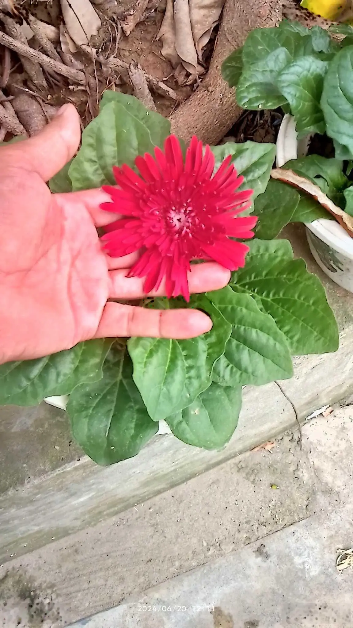 Việt Hưng - nhà đẹp dân xây 78m2 - 4 tầng 4 ngủ - ô tô sát cửa - chỉ chưa đến 5 tỷ 1
