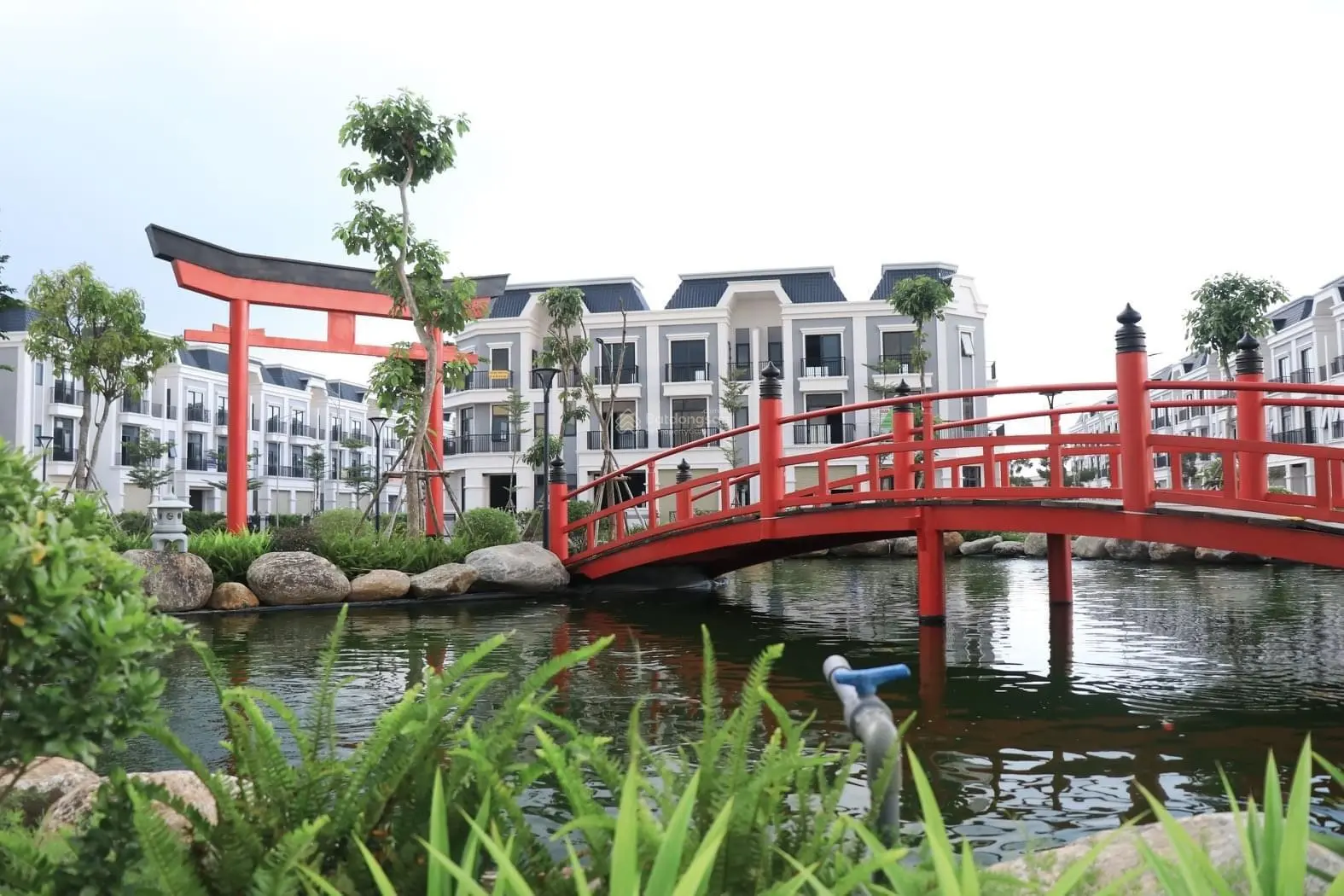 Bán Gấp Căn Nhà View Sông, Hồ Cá Koi, Vị Trí Đẹp Nhất Dự Án Solar