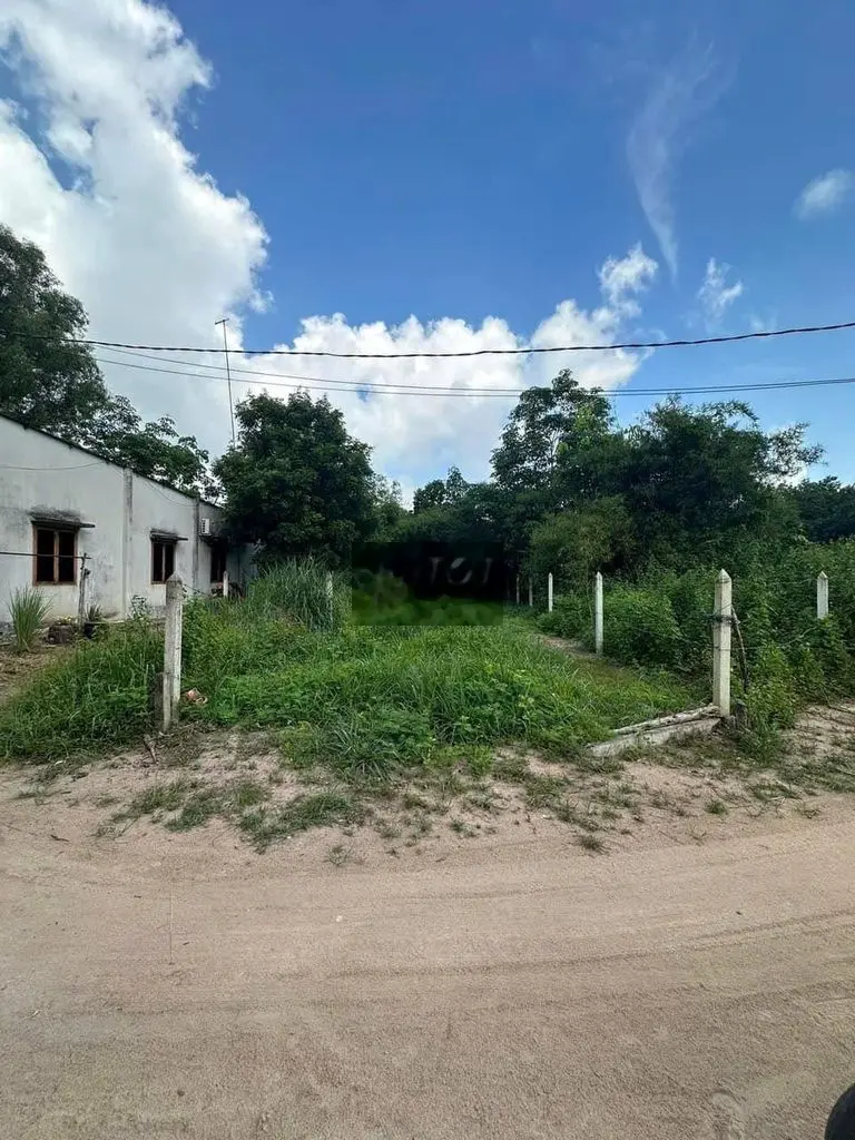 Bán 700m2 đất gần KCN Dầu Tiếng,sổ hồng riêng,thổ cư 100m2 ngộp bán rẻ