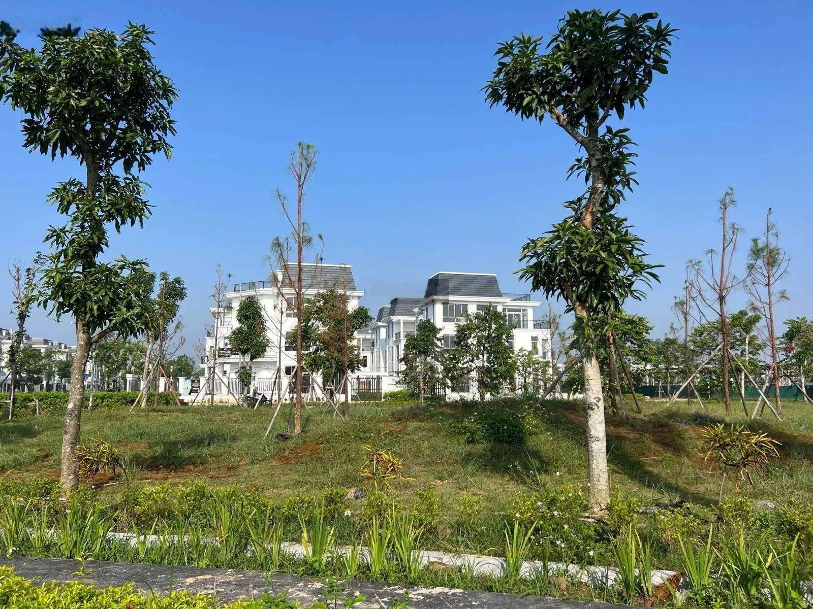 Hàng ngoại giao! Biệt thự HUD Mê Linh Vành Đai 4 ký HDMB CĐT 10% đường lớn 30m. LH: 0981 248 *** Zalo