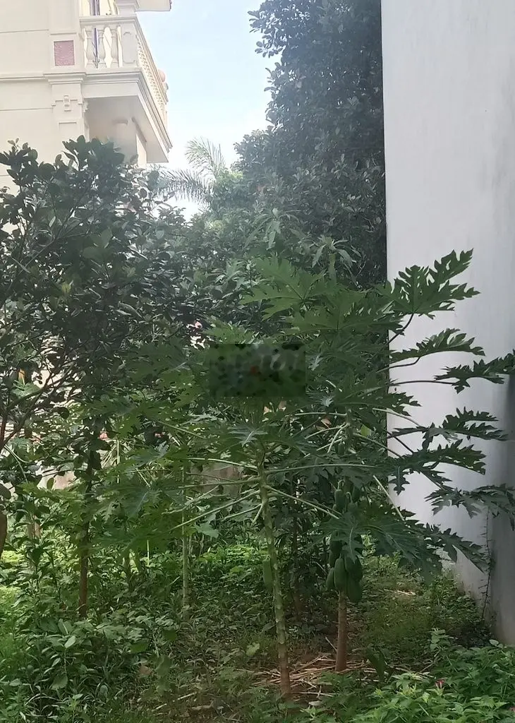 Bán lô đất đường Thuỷ Tiên - KDC Đại An - Phường Tứ Minh