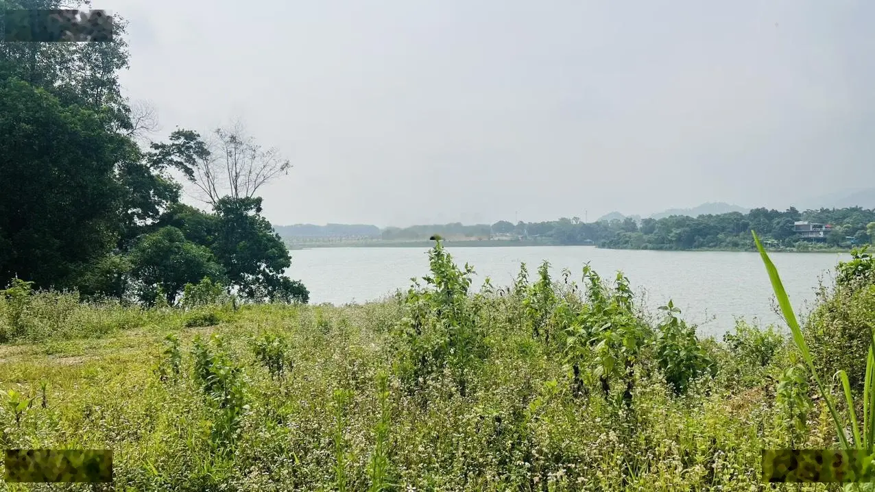 Bán đất tại Lương Sơn, Hoà Bình. Diện tích 3933m2