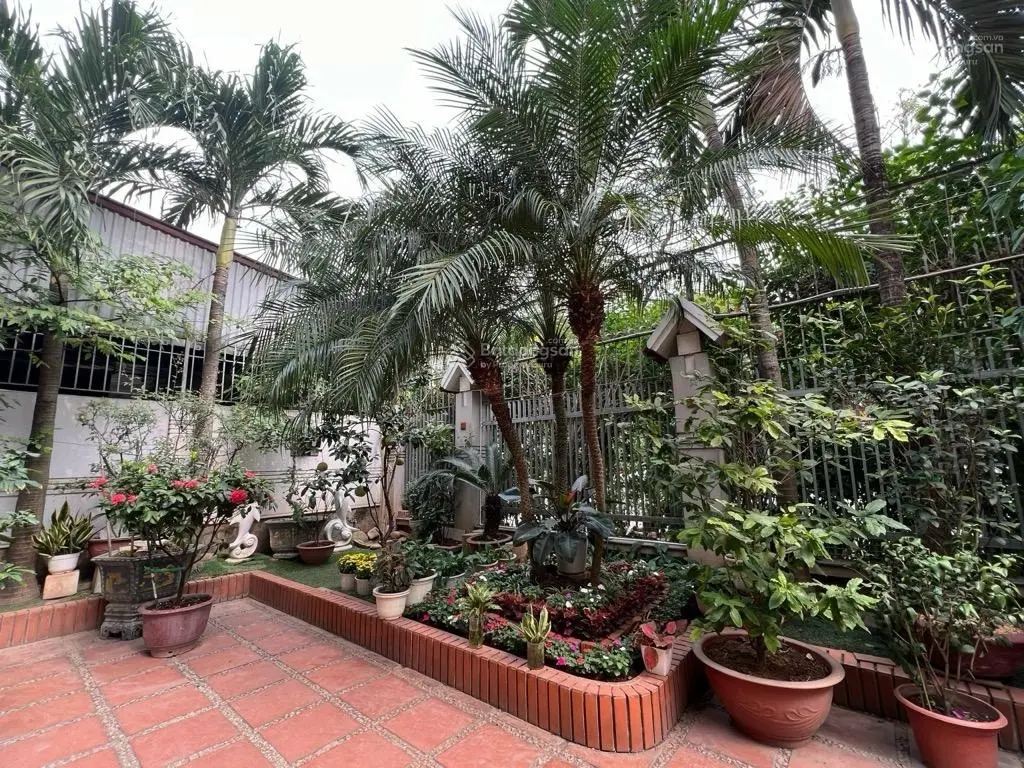Bán biệt thự 238m2 mặt phố Trần Thủ Độ - hiếm - vị trí đẹp- kinh doanh hay ở đều rất đẹp