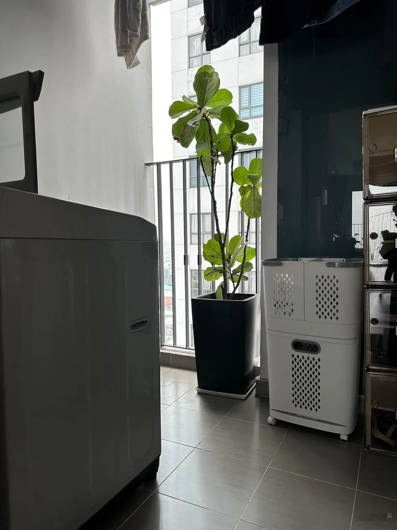 Cần bán gấp căn hộ M-ONE Nam Sài Gòn Quận 7, 76m2 2PN 2WC