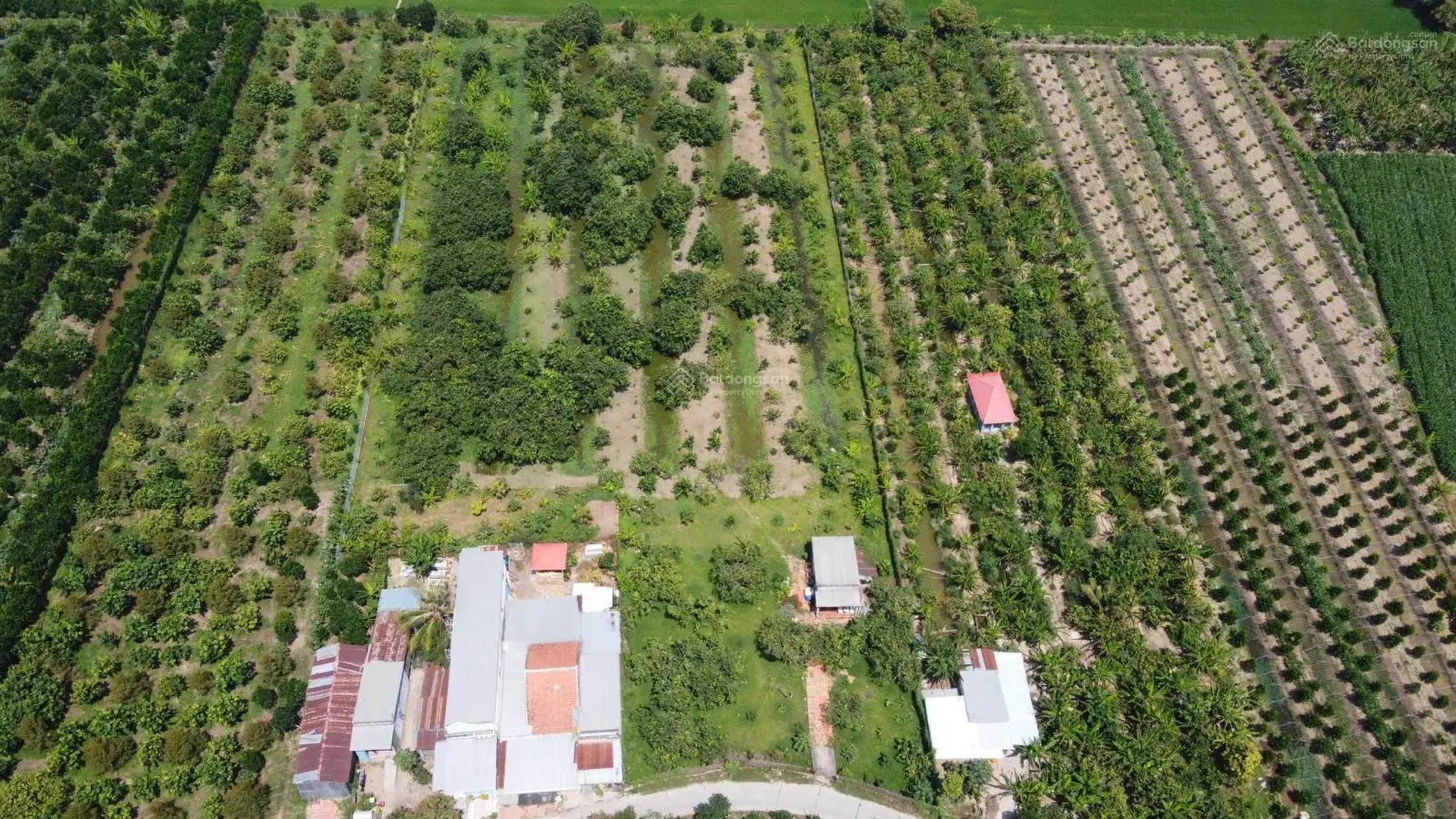 Khu sinh thái du lịch với 10.199m2 rất thích hợp cho người mê vườn cùng 600m2 thổ cư