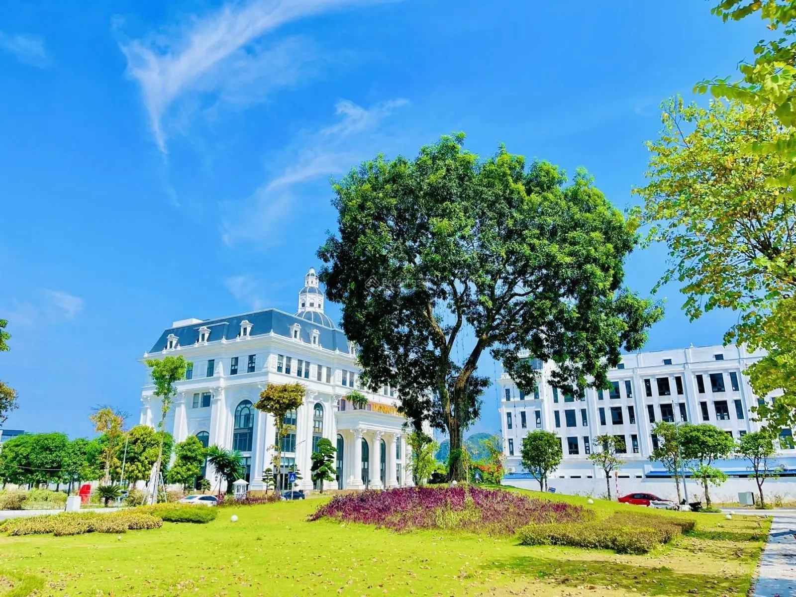 Giá hấp dẫn, chỉ từ 2,5 tỷ/lô.