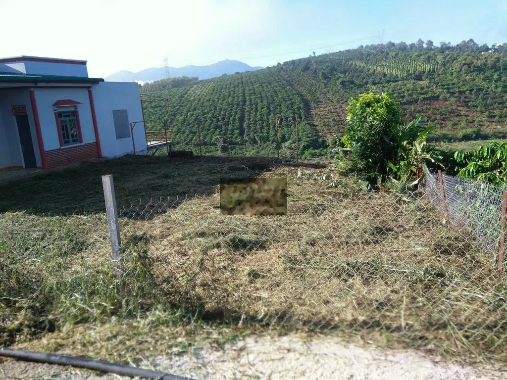Đất thổ cư 400m2, giá trong tháng,cần vốn về SG làm ăn, nhà ở ngay.