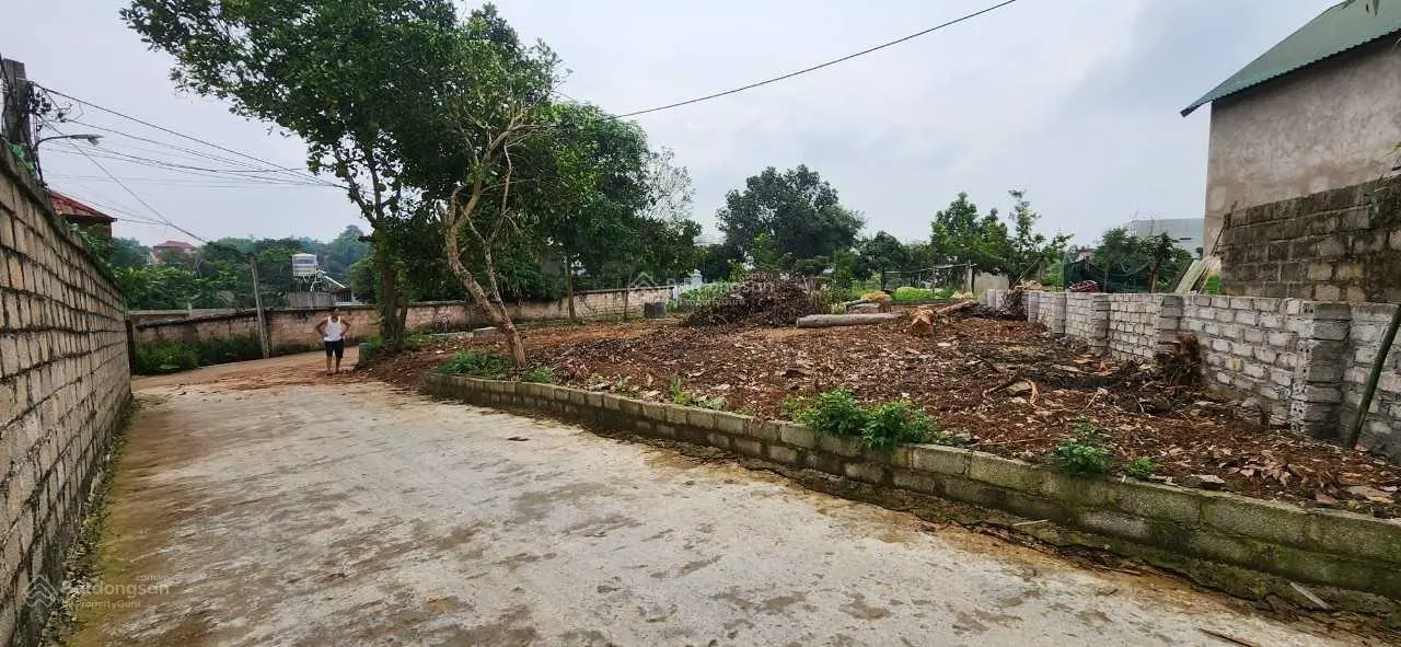 Bán đất tại Hữu Lũng, Lạng Sơn. Diện tích 175m2, giá 1,75 tỷ