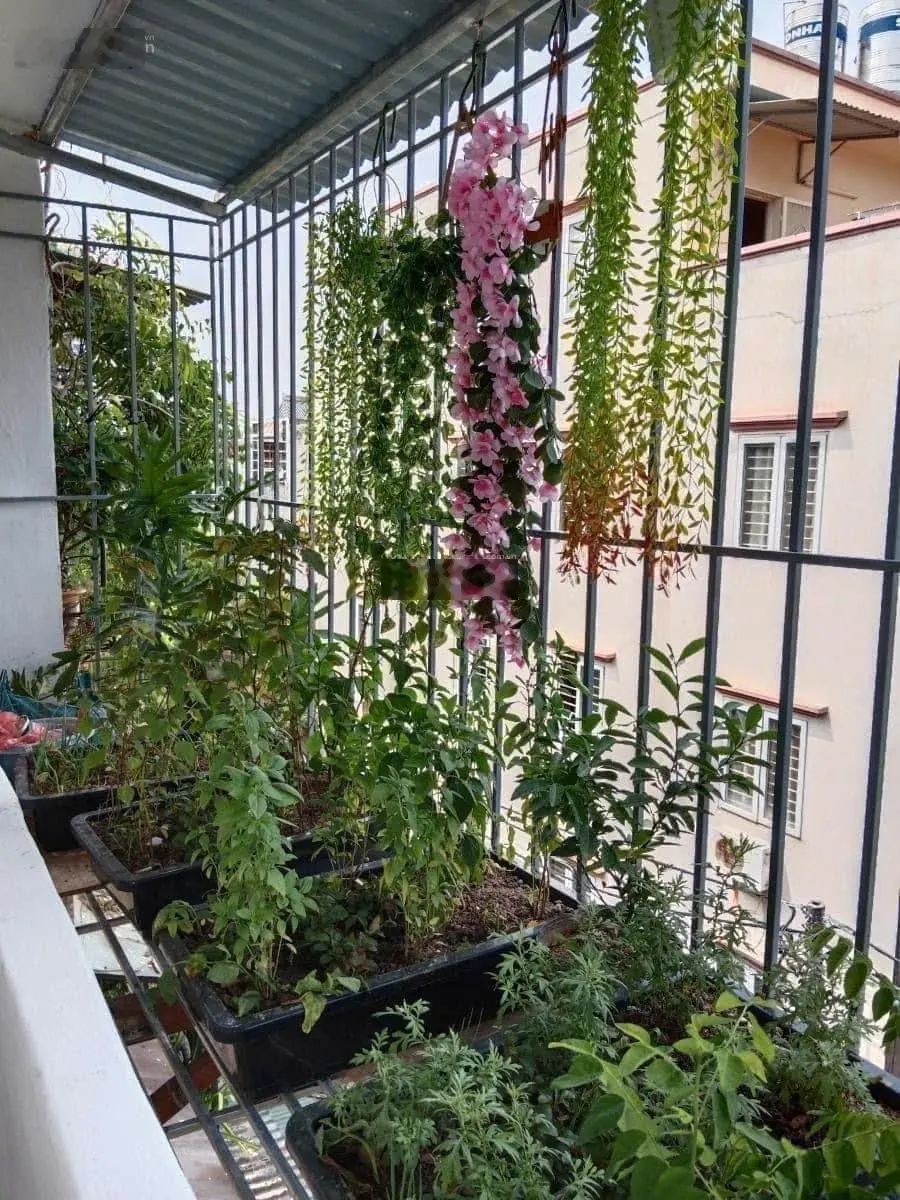 Siêu phẩm_tập thể quỳnh mai_hai bà trưng_tầng 3_2 thoáng_70m2 2pn full nt chỉ 3,19 tỷ