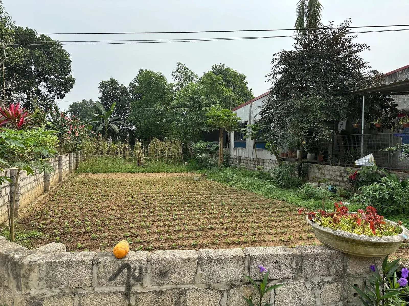 Cần bán gấp lô đất 299m2 tại Thuỷ Xuân Tiên giá chỉ vài triệu mét vuông