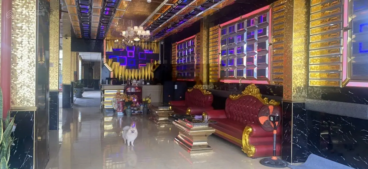 Bán MT KD đường Trần Quang Diệu, TP Quảng Ngãi. DT 1000m2, MT 11.5m, đường 10m, đang kinh doanh
