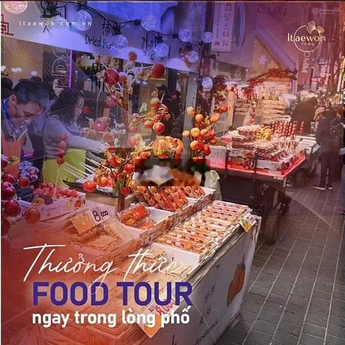 RA MẮT dự án PHỐ HÀN Bên Đại Lộ Vàng DÀNH CHO NHÀ ĐẦU TƯ