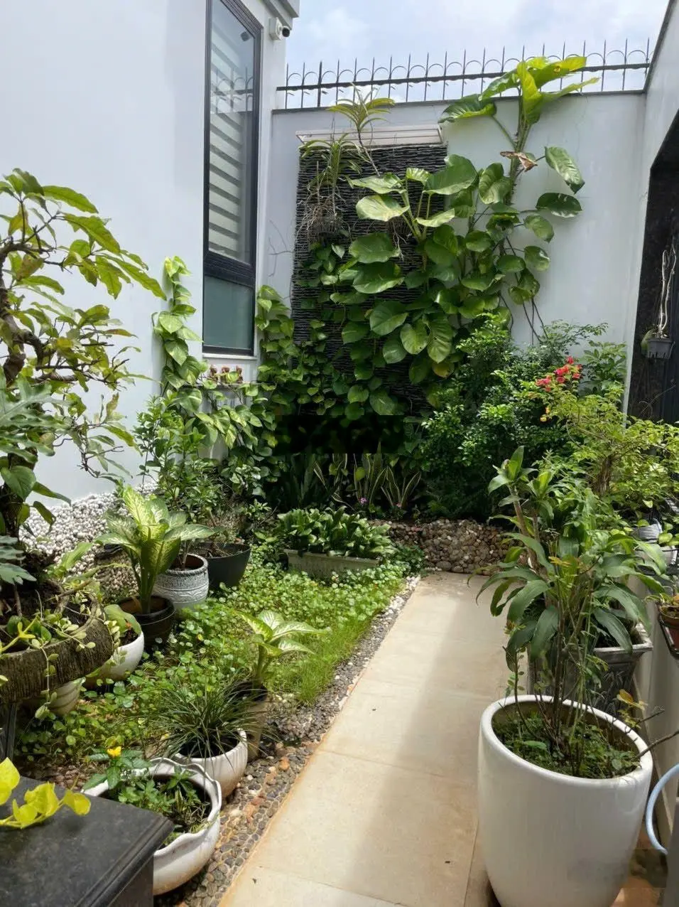 Hot! Cơ hội mua nhà biệt thự compound. Vị trí tốt ngay P. An Phú, Q2