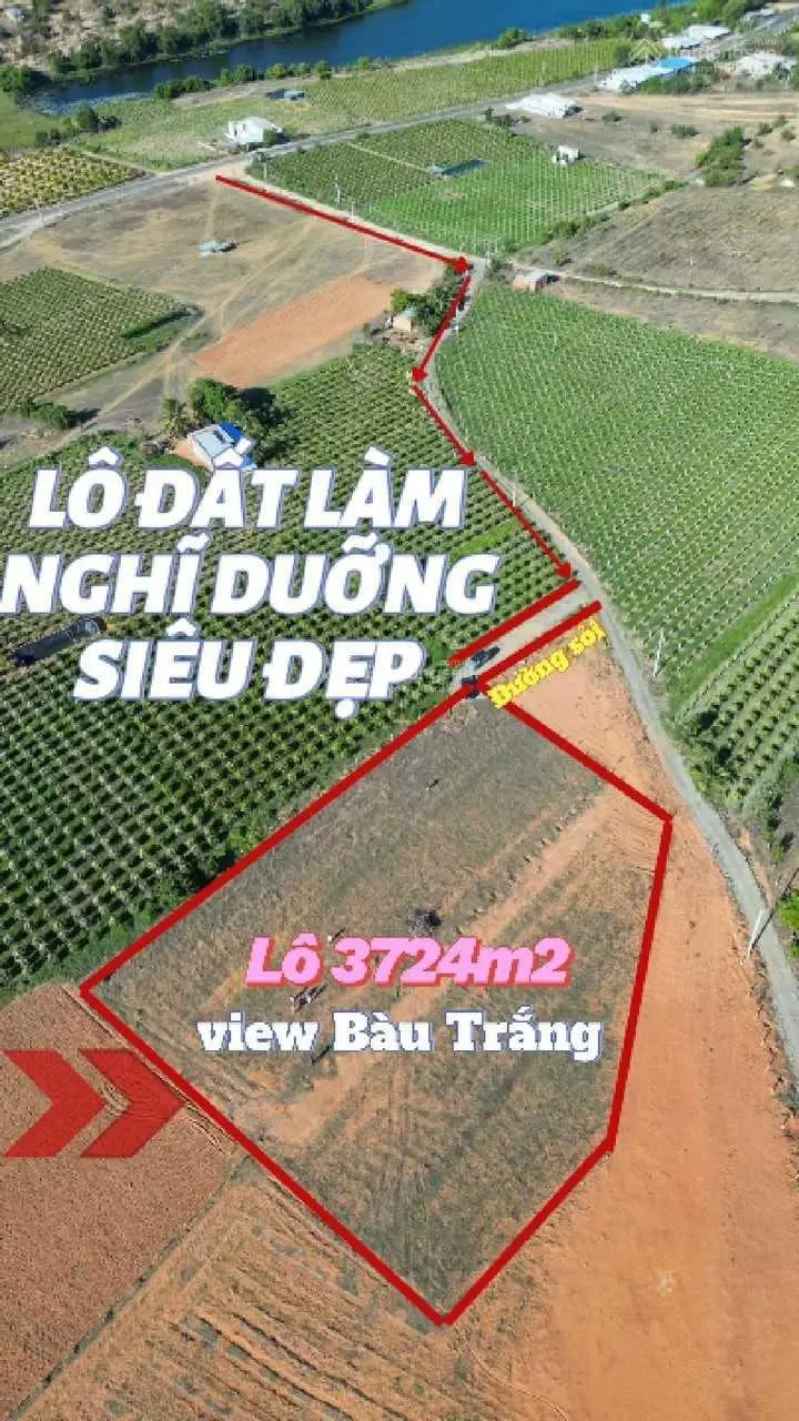 Không có lô thứ 2 tại khu này. View trực diện Bàu Trắng, thế đất như Đà Lạt, cách biển 7p