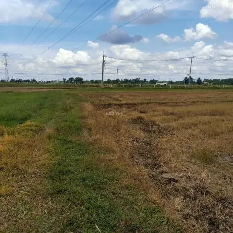 Bán đất Củ Chi, lô đất 2 MT đường đất và đường kênh, 1.760m2 đất vườn, QH KDC, xã Phước Thạnh.