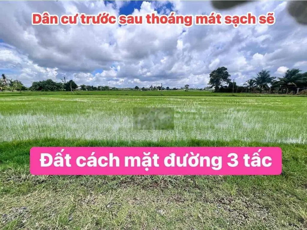 BÁN ĐẤT MẶT TIỀN 49 MÉT GIÁ RẺ TÂY NINH