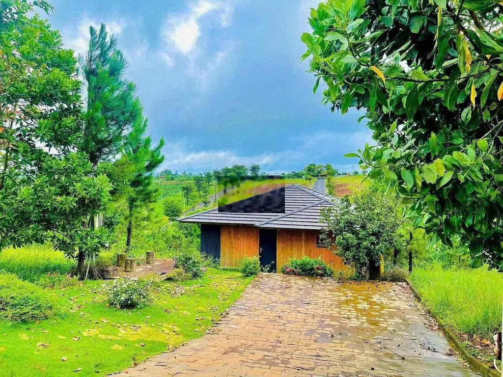 Chủ Nợ ngân hàng bán homestay có nhà sẵn thị trấn Lạc Dương có 200m2 ở