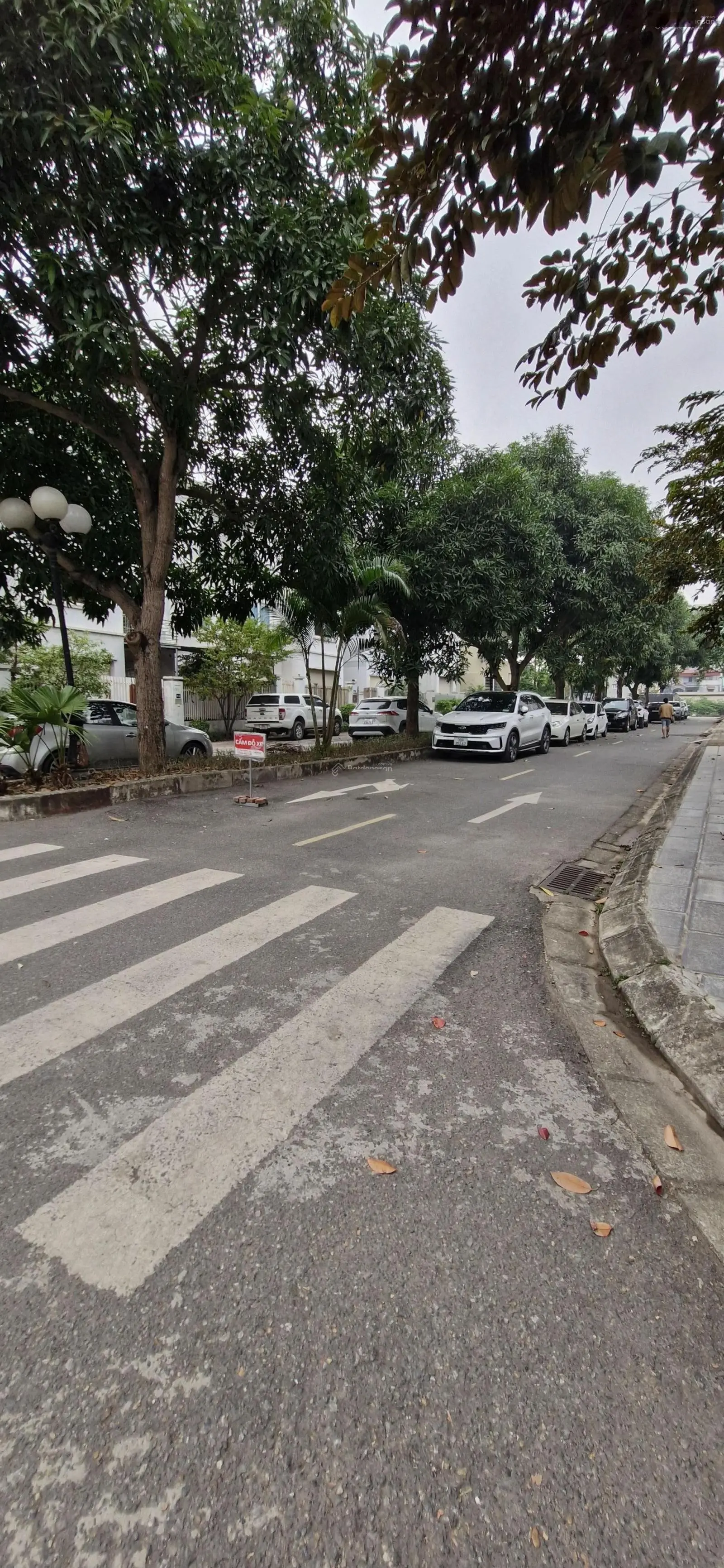 Bán Nhà Vườn KĐT Tây Mỗ Lô góc Vị trí Đắc địa giá đầu tư.