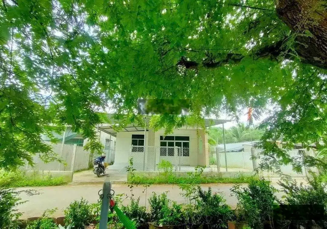 Bán đất 237m2. tặng nhà ,mặt tiền lộ xe ô tô , xã phú Hưng, tỉnh bến tre
