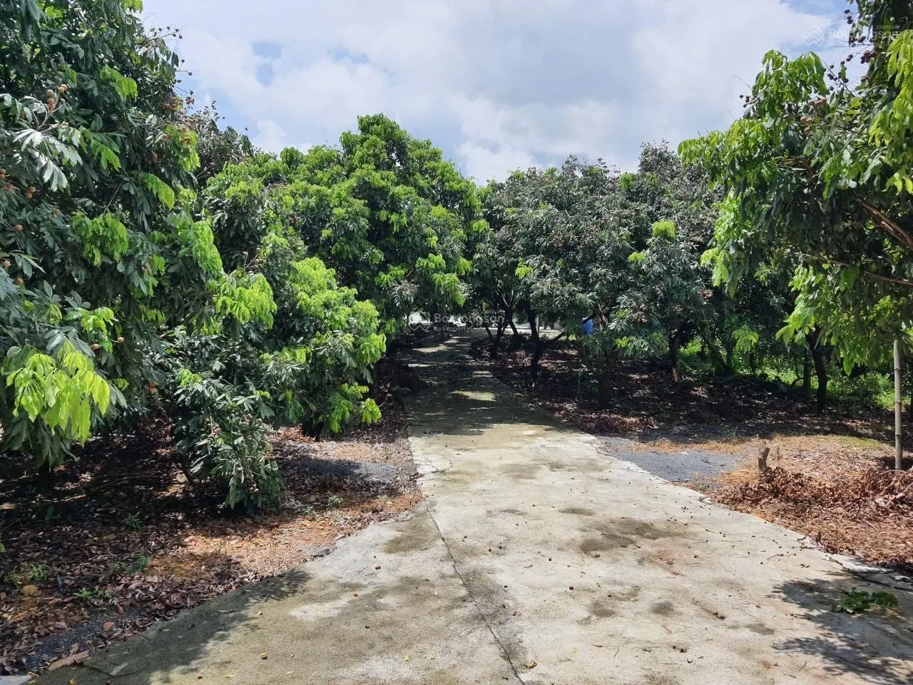 Chuyển nhượng 20.118m2 (hơn 2ha) đất thổ cư giá rẻ phù hợp xây nghỉ dưỡng homestay tại Lương Sơn