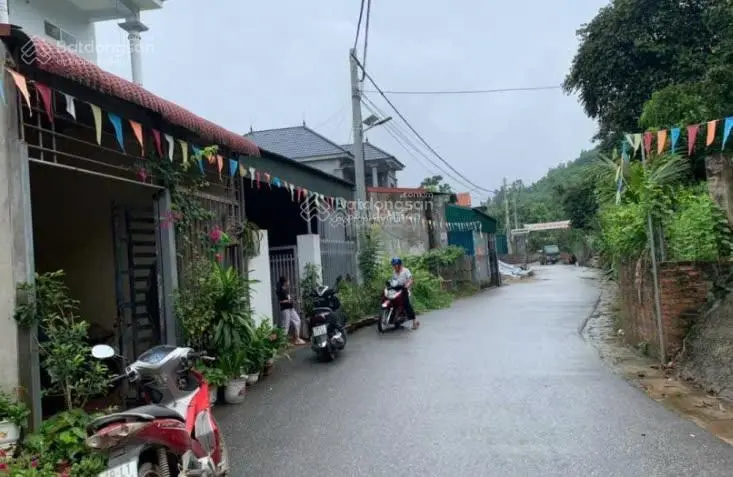 Mặt đường xanh Khu 4, thị trấn Thanh Thủy - Phú Thọ. Giá giảm sốc!