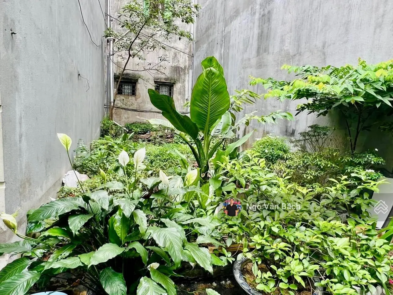 Bán đất hiếm Hồ Tùng Mậu, Cầu Giấy - 63m2, MT 6.3m - Lô góc, ô tô vào nhà đỗ ngày đêm, nhỉnh 8 tỷ