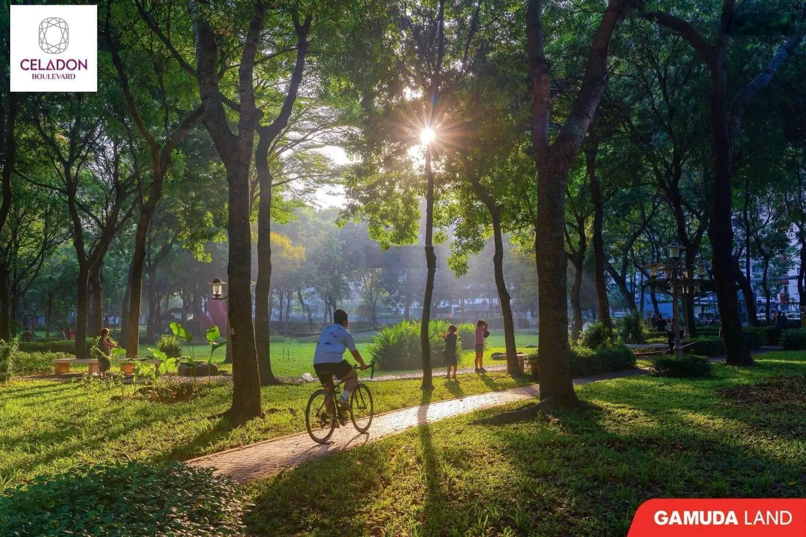 Giỏ hàng Diamond - Celadon City mua trực tiếp từ CĐT chiết khấu 10 - 17%, view đẹp, nhà mới ở ngay