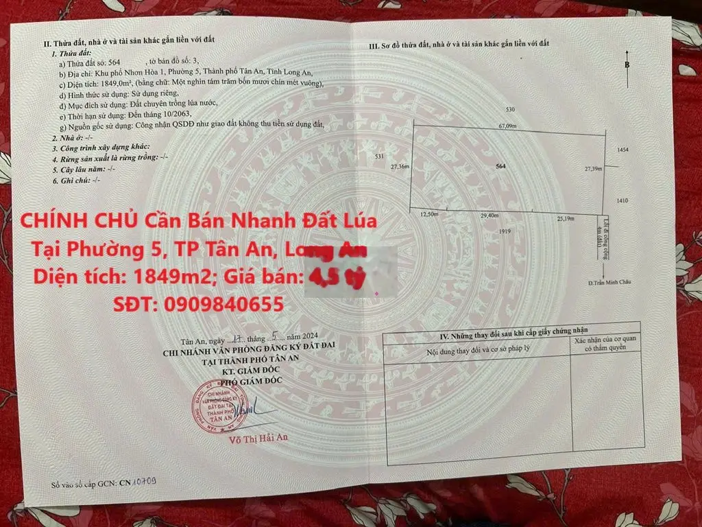 CHÍNH CHỦ Cần Bán Nhanh Đất Lúa Tại Phường 5, TP Tân An, Long An