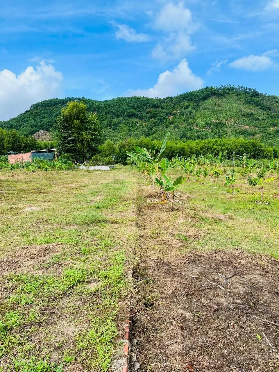 Đất vườn -xã phước mỹ tp quy nhơn giá rẻ