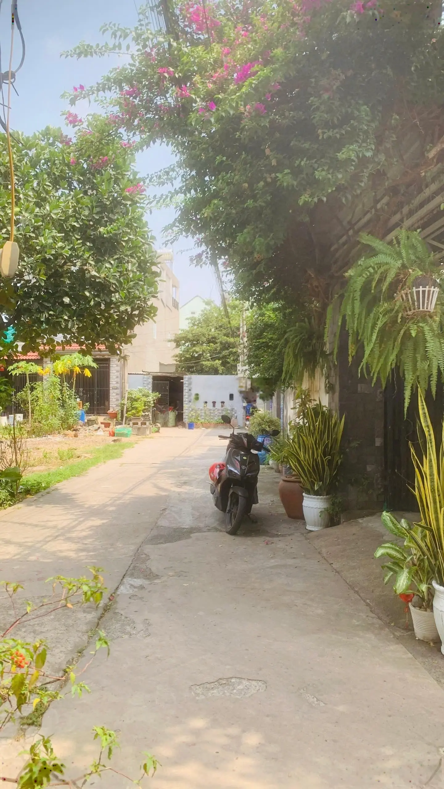 Nhà 1 trệt 1 lầu Nguyễn Văn Siêu Dĩ An 83m2, SHR, HXH 3.6 tỷ