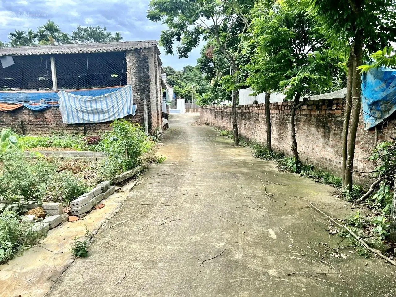 Còn duy nhất 1 lô S=93,9m2 full thổ cư (lô góc). Giá tốt chỉ nhỉnh 1tỷ xíu. Sẵn sổ hồng đẹp
