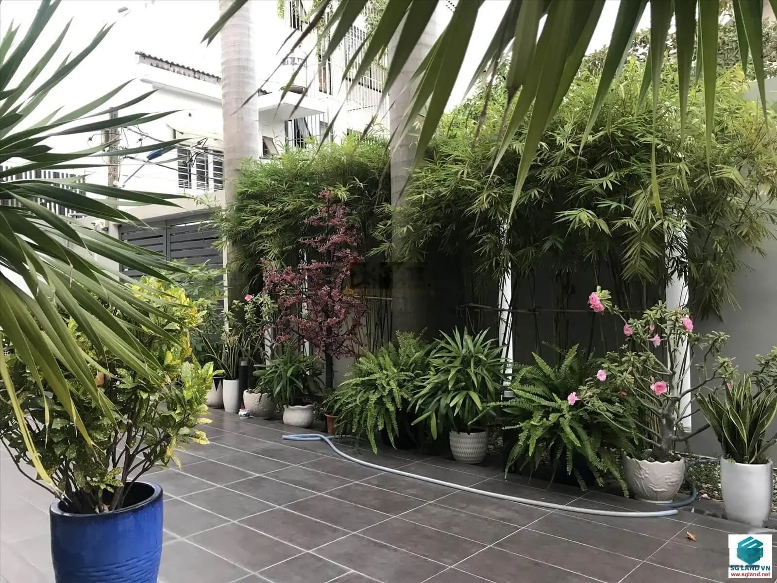 Cơ Hội Sở Hữu Biệt Thự Đẹp Compound Tại Phường Thảo Điền, Quận 2 - Thiết kế với gu thẩm mỹ tinh tế