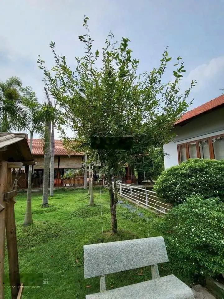 Nhà vườn 7.800m2 gần sông Sài Gòn - Khuôn viên đẹp như resort