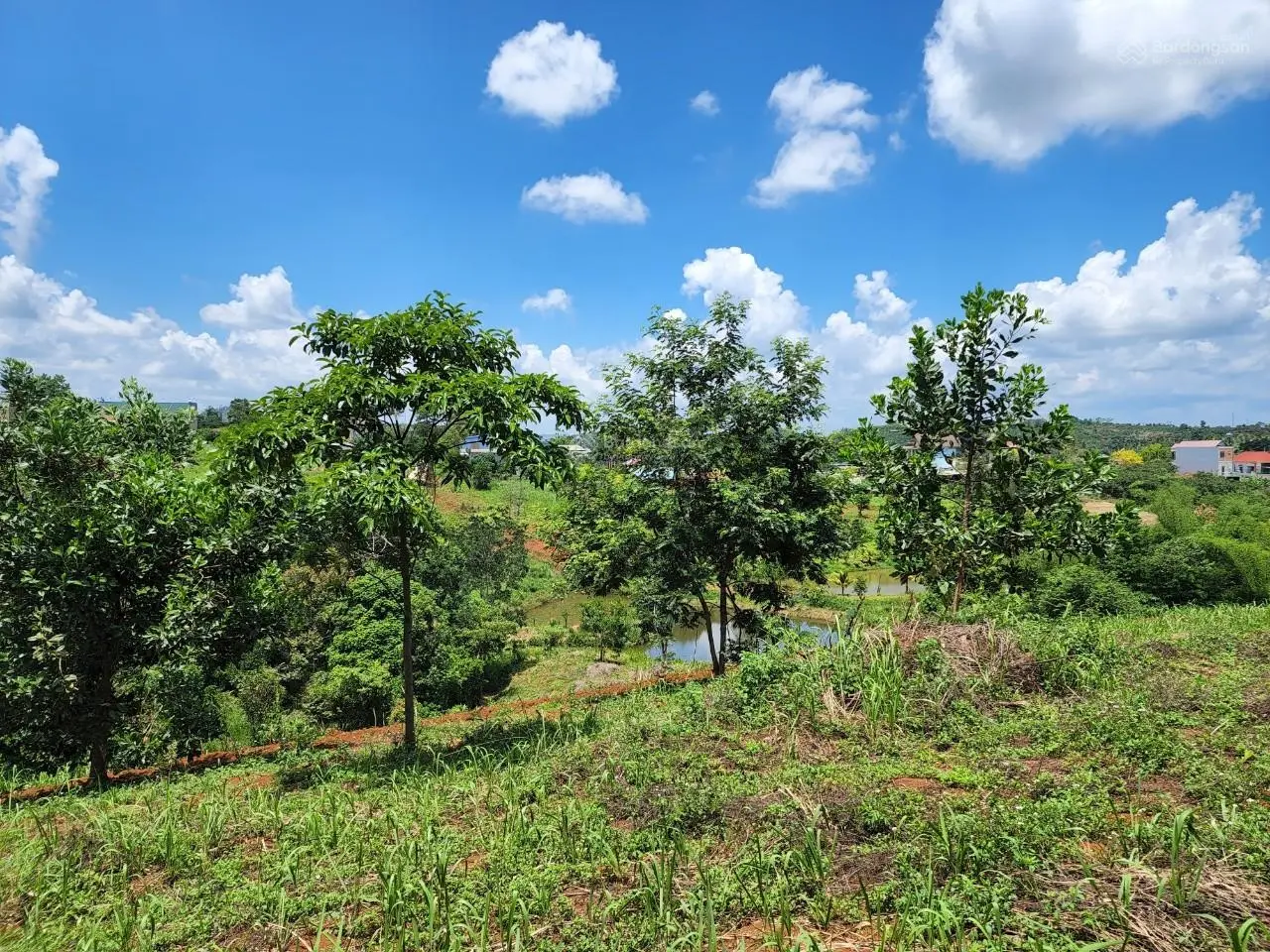6.5ha, 390m mặt tiền QL28, suối chảy quanh năm, gần Gia Nghĩa Đắk Nông